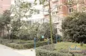 书香门第实景图
