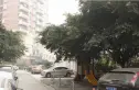 书香门第实景图