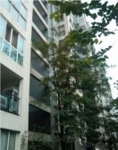 锦溪2室2厅西南