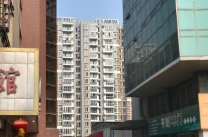 府河路苑2室2厅南北