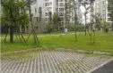 沪都家园实景图