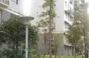沪都家园实景图