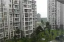 沪都家园实景图