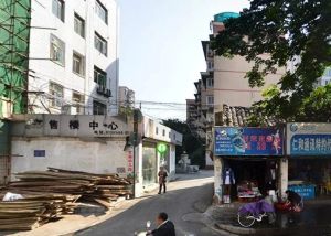 金鹏雅舍2室1厅东南
