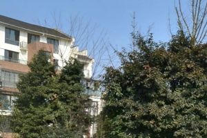 山水间3室1厅东南南