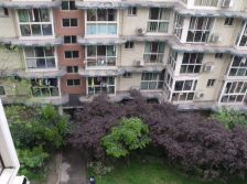 莲花新区 2室1厅 东北