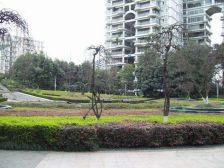 置信丽都花园C区4室2厅西北