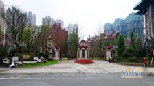 观城3室1厅南北