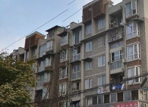 西武家园 3室2厅 西南