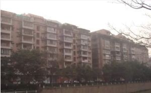 望平滨河路18号 3室1厅 东南