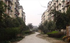 望平滨河路18号3室2厅东南