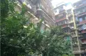 望平滨河路18号院实景图
