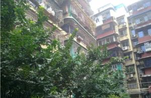 望平滨河路18号3室1厅南