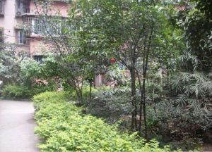 筒车巷26号2室1厅东南