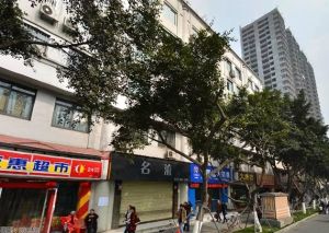 艺术家苑3室2厅东
