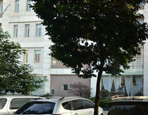 中冶十九大厦 1室1厅 西北