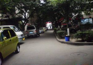 棕南正街9号3室1厅东南