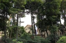 蓝泊湾4室2厅南北