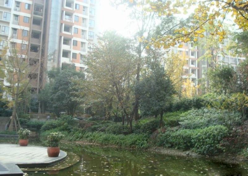 小区相关图