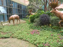 奥园三期 中间楼层 全新毛坯,双阳台四房,望孝德湖