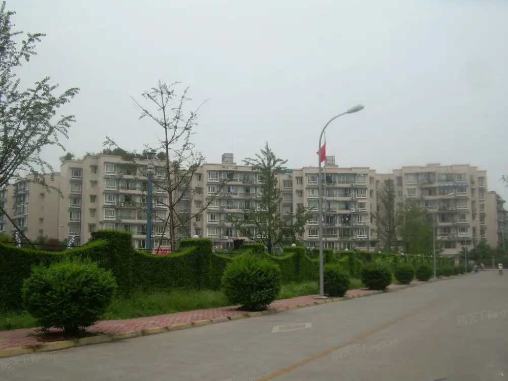 实景图