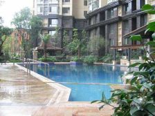 皇后国际 3室1厅 西南 西