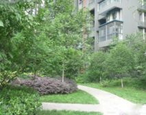 皇后国际 2室1厅 西南