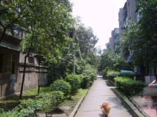 钢管厂五区 1室0厅 南