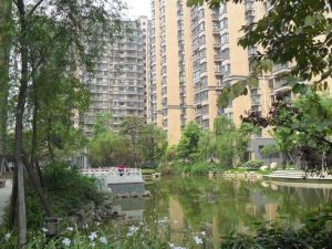 颐和家园 3室2厅 南 北