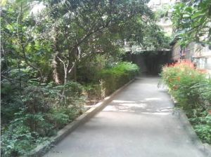 燃灯寺北街63号3室1厅南