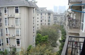 府河路苑2室1厅东南