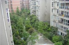 府河路苑2室2厅北
