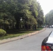 府河路苑3室2厅东南西北