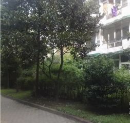 府河路苑3室2厅东