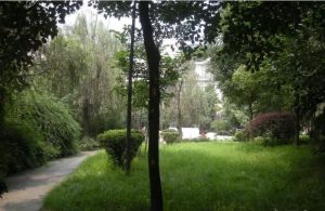 府河路苑1室1厅南