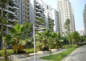 西财学府尚郡 4室2厅 南