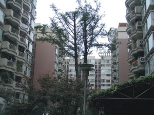 锦宏骏苑南区4室2厅东南