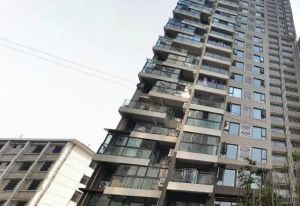 凤栖桐2室1厅南