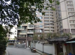 凤栖桐2室1厅东北