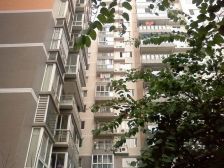 都市金岸 3室2厅 东