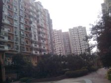 都市金岸 3室2厅 东 西