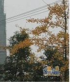 泰立观筑2室2厅东南