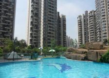 阳曦芙蓉城 1室1厅 东南