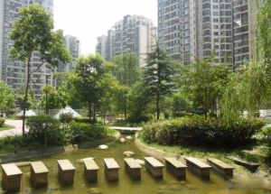 阳曦芙蓉城 2室1厅 东 西