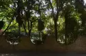 六月花苑别墅实景图