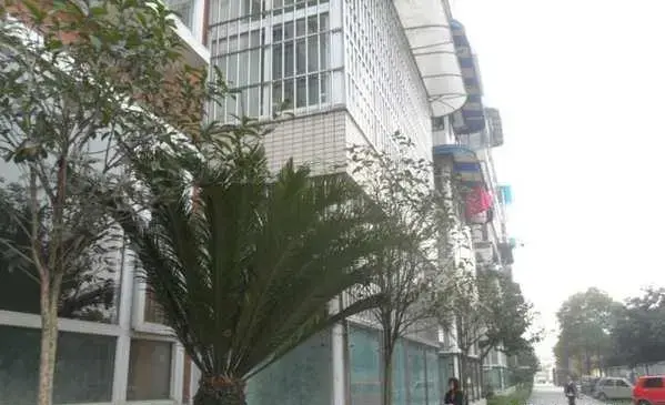 书香庭苑实景图