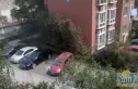 书香庭苑实景图