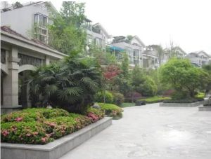 建阳欣语3室2厅东东南南西南西西北北东北