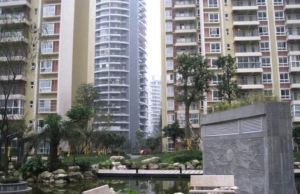 白兰地1室1厅南