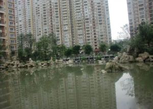 白兰地2室2厅南北